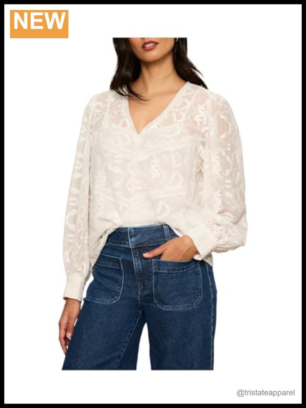 Sanctuary Sheer Embroidered Popover Blouse